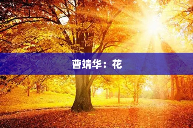 曹靖华:花