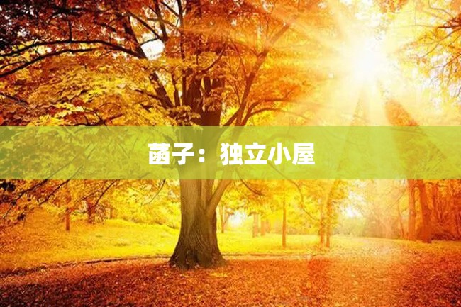 菡子:独立小屋