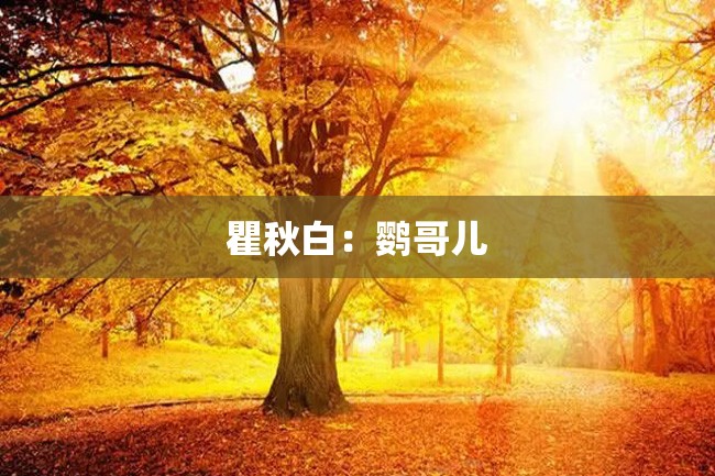瞿秋白:鹦哥儿