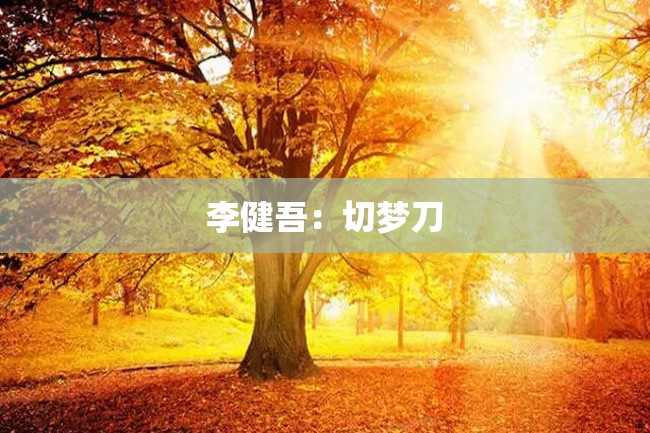李健吾:切梦刀