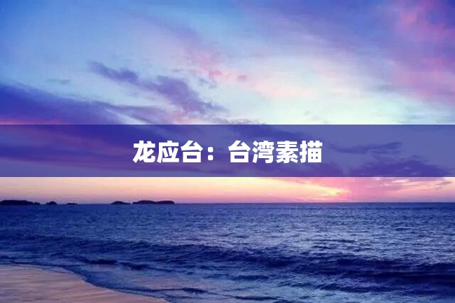 龙应台:台湾素描