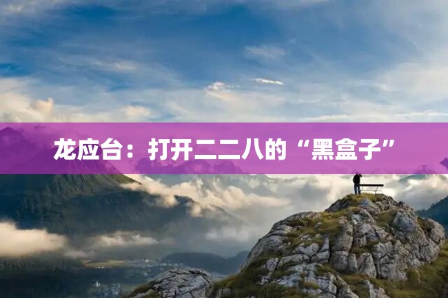 龙应台:打开二二八的“黑盒子”
