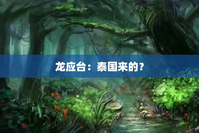 龙应台:泰国来的?