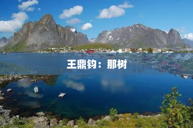 王鼎钧:那树