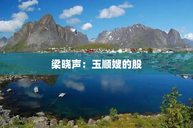 梁晓声:玉顺嫂的股