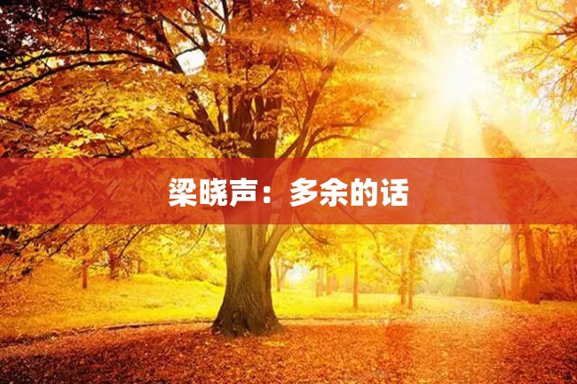 梁晓声：多余的话