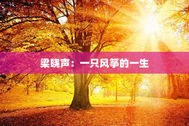 梁晓声:一只风筝的一生