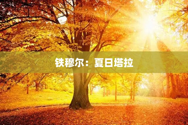 铁穆尔:夏日塔拉