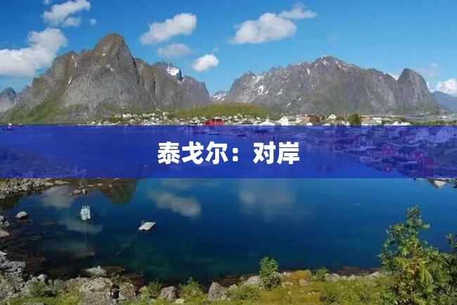 泰戈尔:对岸