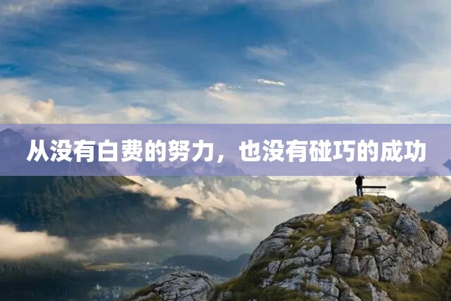 从没有白费的努力,也没有碰巧的成功