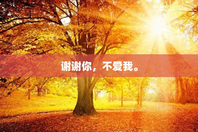 谢谢你,不爱我。