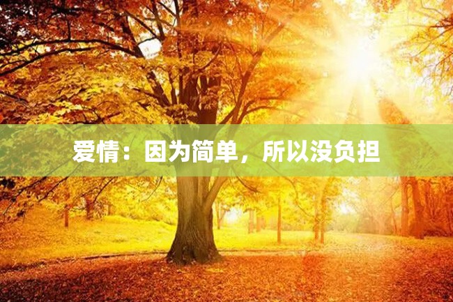 爱情:因为简单,所以没负担