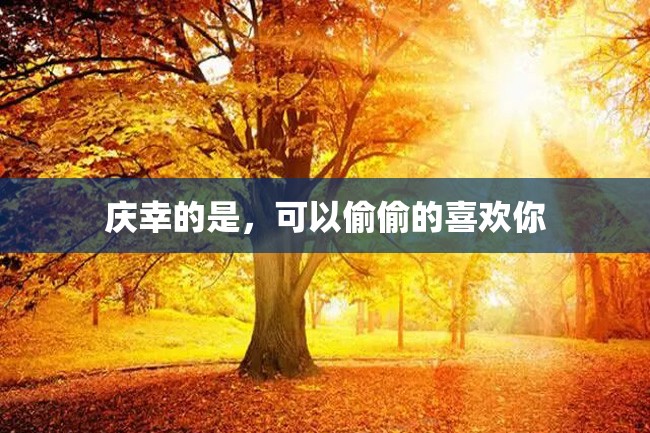 庆幸的是,可以偷偷的喜欢你