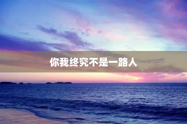 你我终究不是一路人