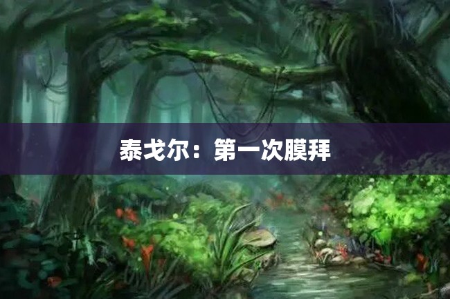 泰戈尔:第一次膜拜