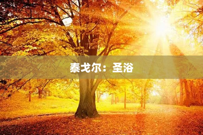 泰戈尔:圣浴